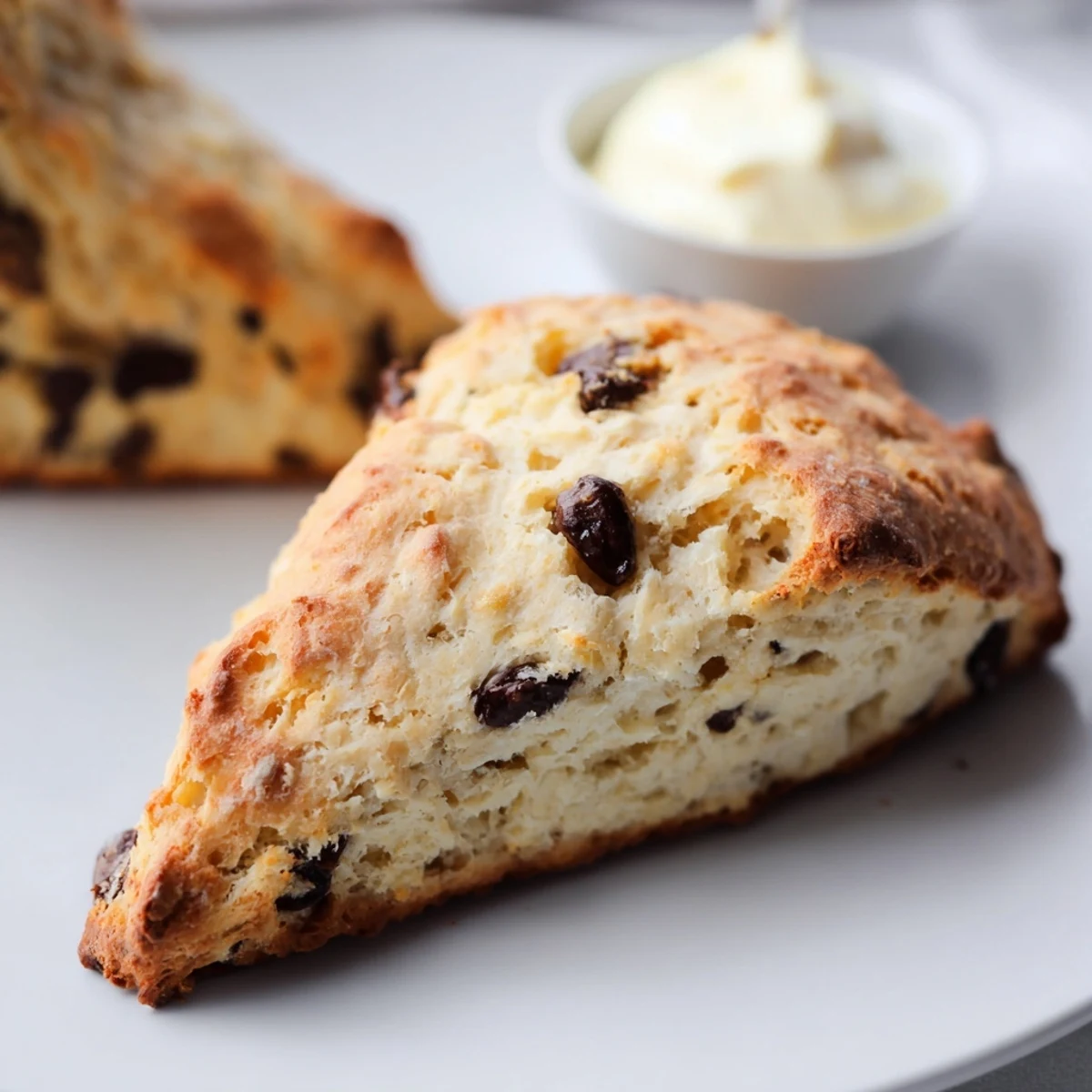 A close-up of tender, buttery chocolate chip scones topped with a light dusting of sugar.